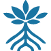 palétuviers guadeloupe