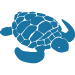 tortue